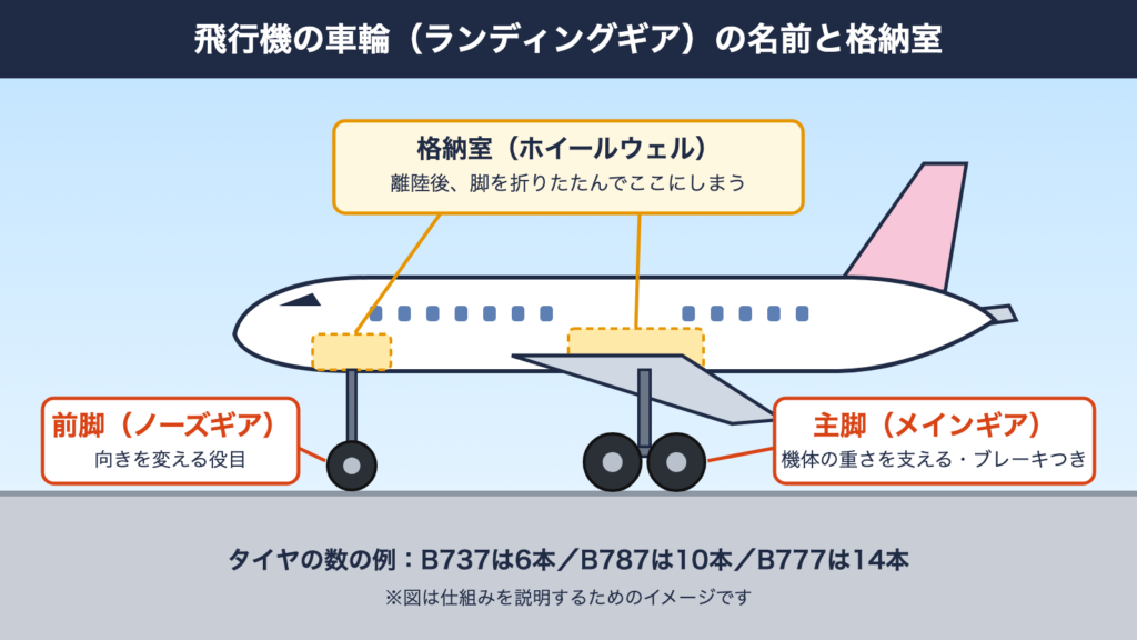 飛行機の車輪（ランディングギア）の名前と格納室の図解。前脚と主脚、ホイールウェルの位置